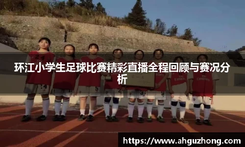 365完美体育