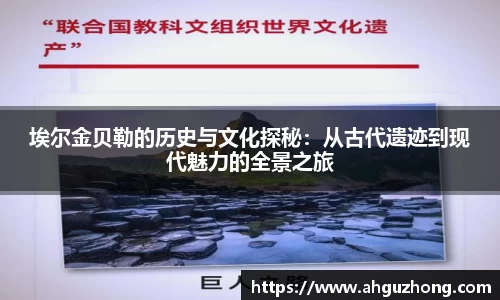 完美体育365平台官网