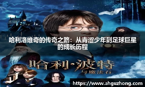 完美体育365平台官网