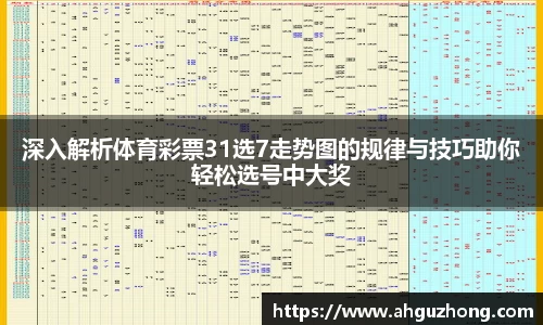 365完美