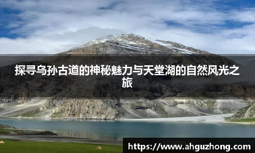 完美体育365平台官网