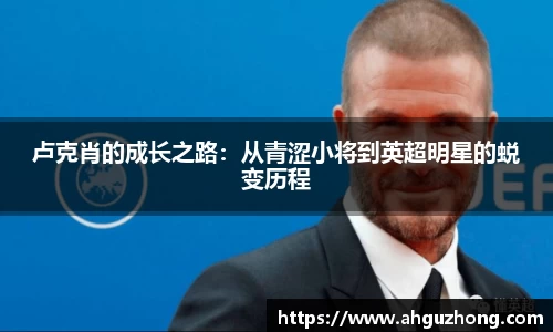 完美体育365平台官网