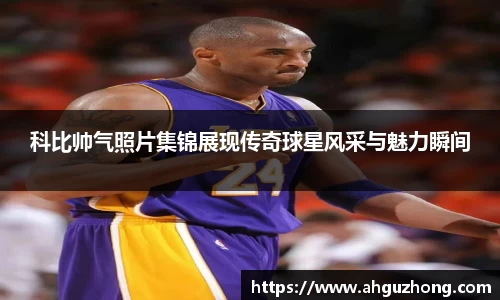 完美体育365平台官网