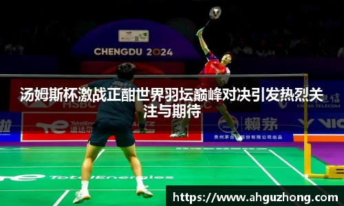 完美体育365平台官网