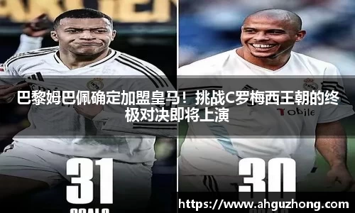 完美体育365