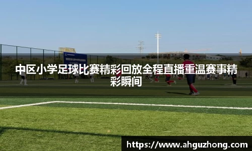 365完美体育