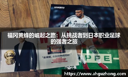 完美体育365平台官网